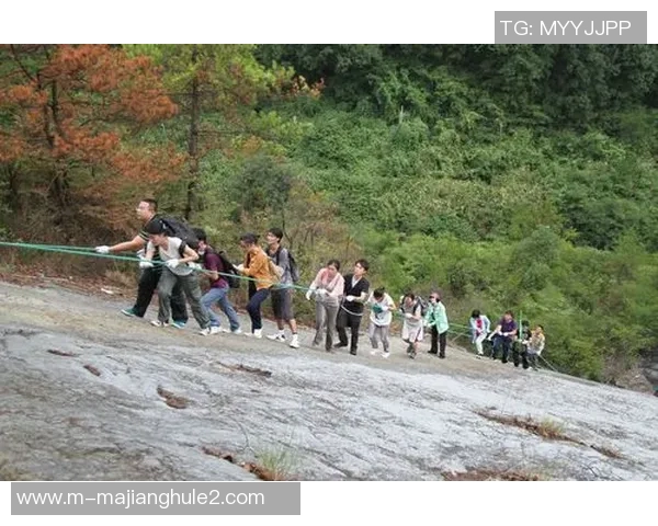 王强专访回顾英雄联盟职业生涯中的辉煌与挑战